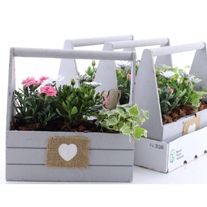 ARR TUINPLANTEN