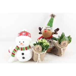 arr2 PL - Sneeuwpop/rendier mix x6