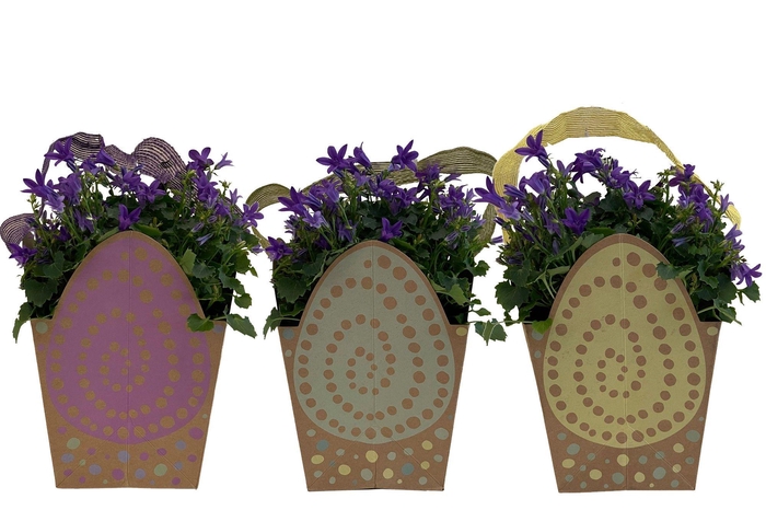 <h4>4501067: Solutionss Easter</h4>