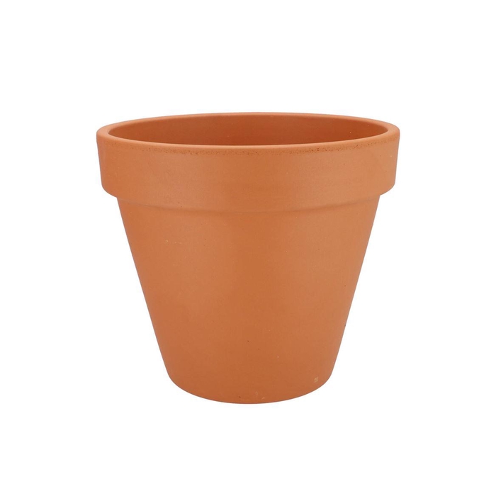 <h4>Terracotta Basic Pot D31xh27cm</h4>