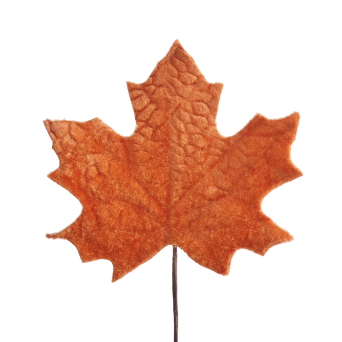 <h4>Autumn 10cm Leaf 13cm</h4>