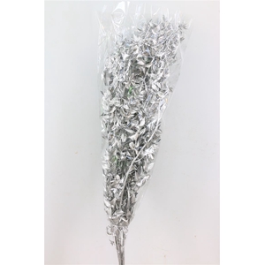 Dried Ruscus Nat Silver Glitter