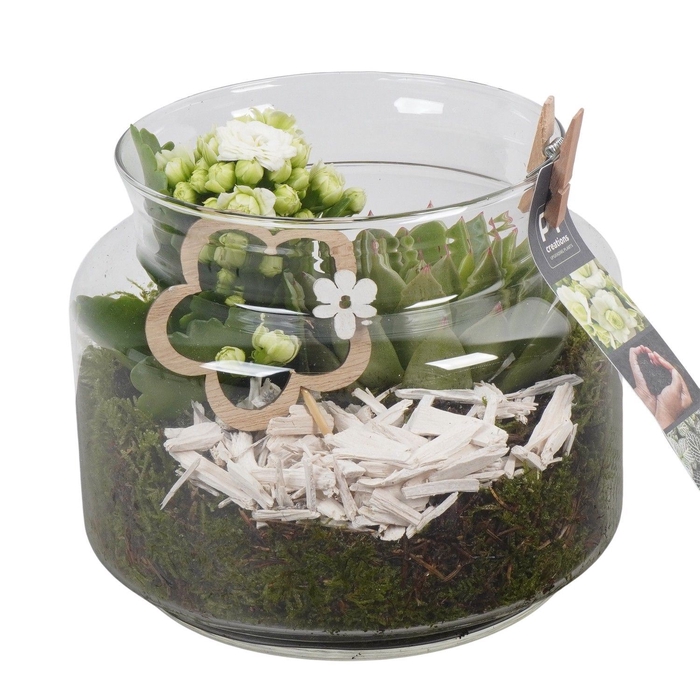 <h4>Arr.   Planten L%</h4>