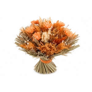 DROOGBL BEWERKT H%