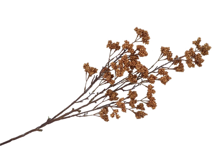 Silk Berry Spice Dark Brown 108cm Nm