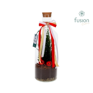 Green Bottle Fles Medium met Kerst arrangement