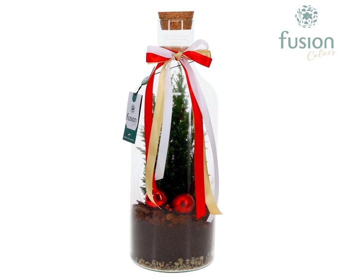 <h4>Green Bottle Fles Medium met Kerst arrangement</h4>