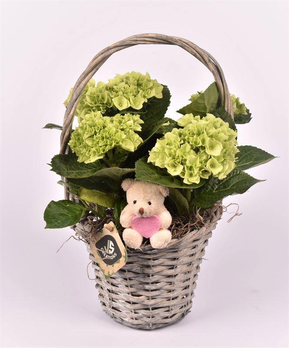 <h4>Wilg hengselmand gy 17cm</h4>