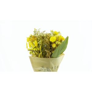 Dried Bouquet Yellow x10