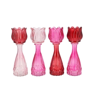 Bicolore Dutch Pink Mix Tulip Vase Ass 7x22cm Nm