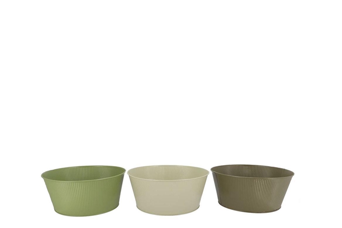 <h4>Zinc Summer Green Mix Bowl Striped Ass 22x10x18cm</h4>
