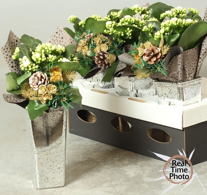 <h4>ARR KAMERPL</h4>