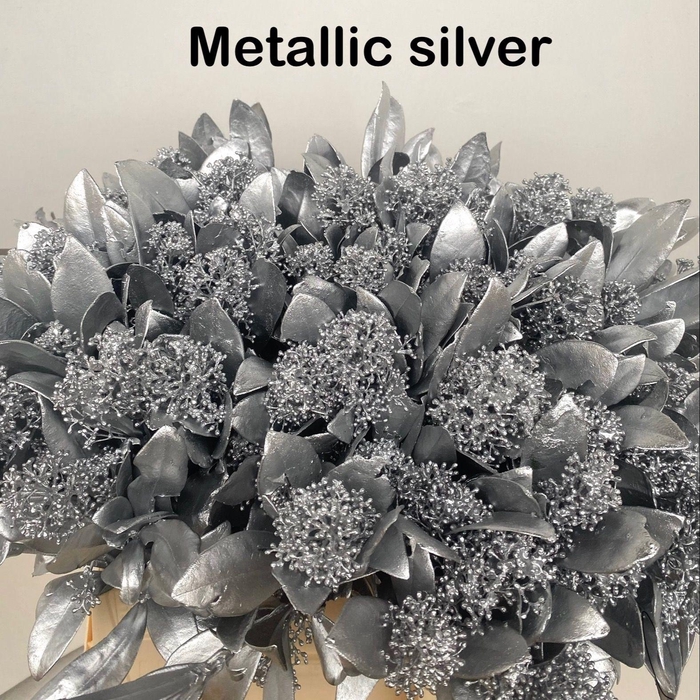 <h4>SKIM OV BS KLB H%</h4>