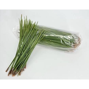 Pine Needles (bags)