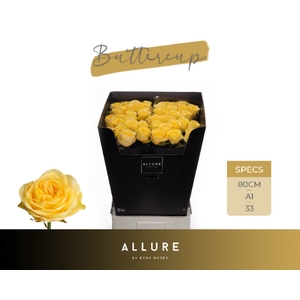 R GR BUTTERCUP ALLURE