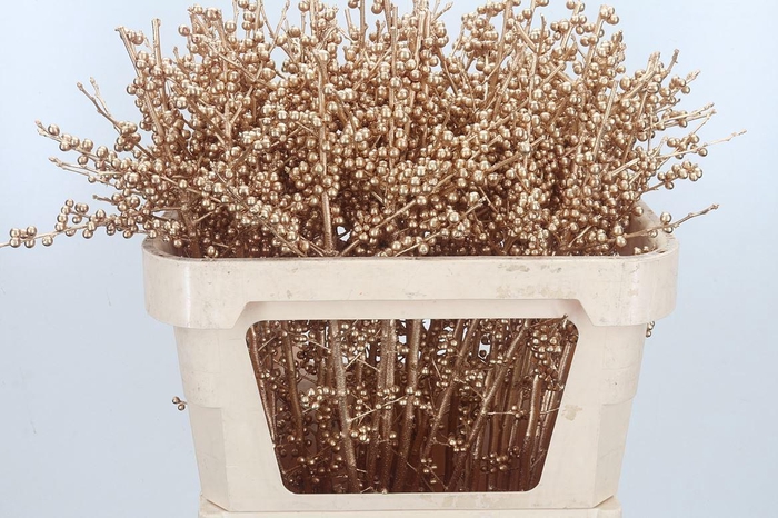 <h4>Ilex Kl Bh Antiek Goud</h4>