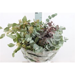 Euca Mix Kort 180 Gram
