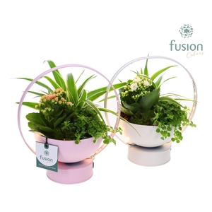 LED planter zink schaal met arrangement