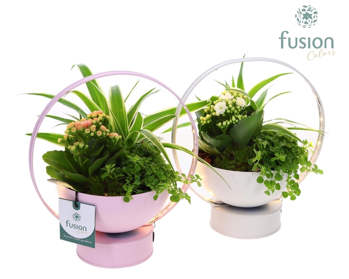 <h4>LED planter zink schaal met arrangement</h4>