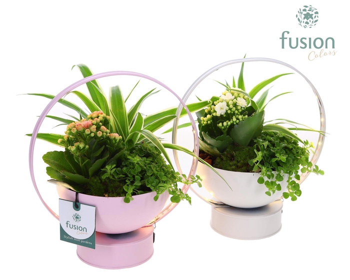 <h4>LED planter zink schaal met arrangement</h4>