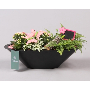 Schaal zink antraciet met Arrangement