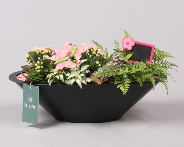 <h4>Schaal zink antraciet met Arrangement</h4>