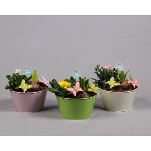 Zinken schaal met arrangement voorjaar