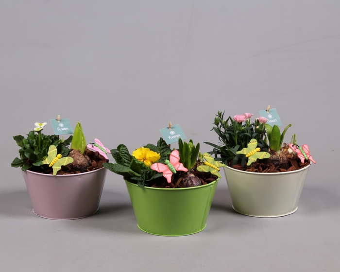 <h4>Zinken schaal met arrangement voorjaar</h4>