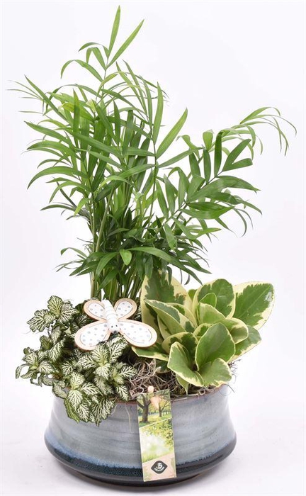 <h4>Keramiek schaal blauw/grijs 18cm</h4>