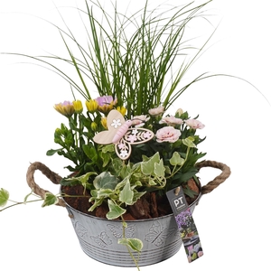 PTPP6813 Arrangement Patio in metalen bak
