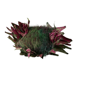 Dried Artz Cynara Heads Rubens