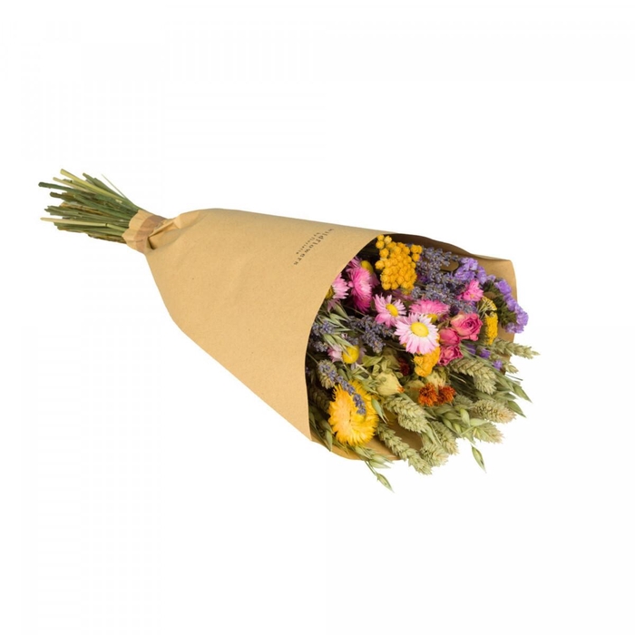 <h4>Droogbloem Boeket Field 50cm</h4>