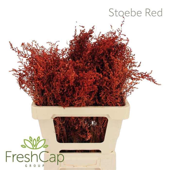 <h4>DECOGROEN OV KLB H%</h4>