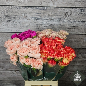 DI ST GEMENGD IN FUST