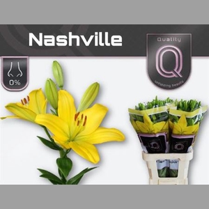 Li La Nashville