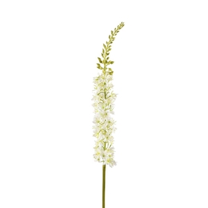 Kunstbloemen Eremurus 94cm