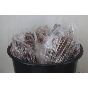 Dennen Naalden Champagne