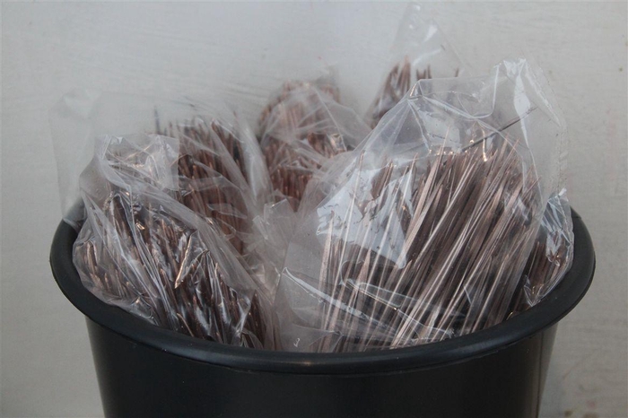 <h4>Dennen Naalden Champagne</h4>