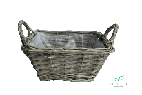 MAND LICHTGRIJS WILG H8.5 B18 L18 V