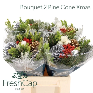 Bouquet 2 Pine Cone Xmas