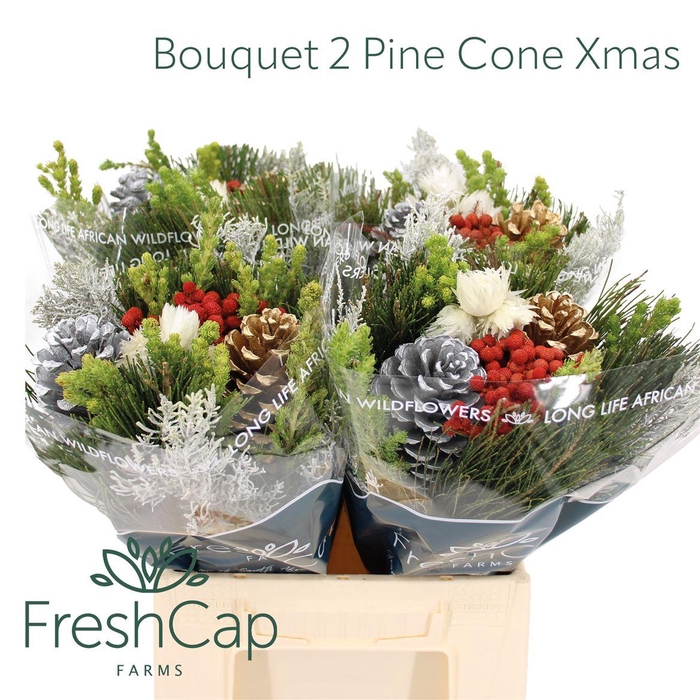 <h4>Bouquet 2 Pine Cone Xmas</h4>