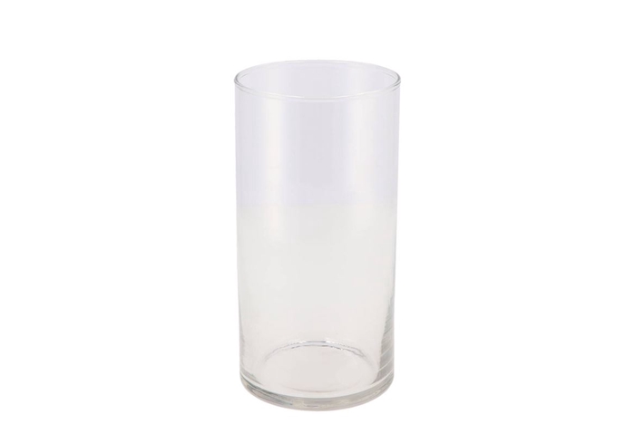 Glass Cylinder Silo 10x20cm