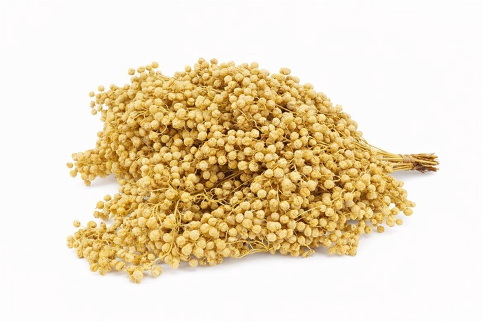 <h4>Schinus M Pt Yellow Bunch</h4>