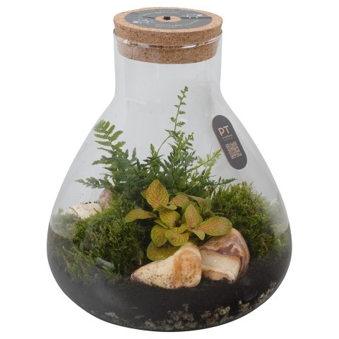 <h4>Opm Pt PTTER8117 Terrarium Glas</h4>