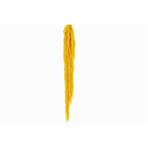 Preserved amaranthus paint yellow