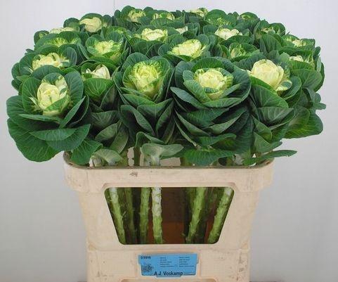 <h4>BRASS WHITE CRANE</h4>