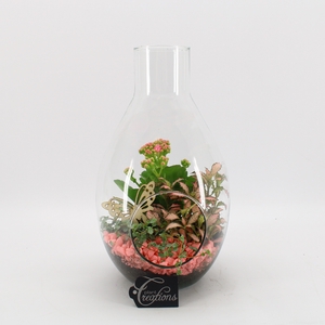 BACR-2406RZ Basic fundamentals terrarium