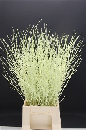 <h4>Berk Kort Creme</h4>