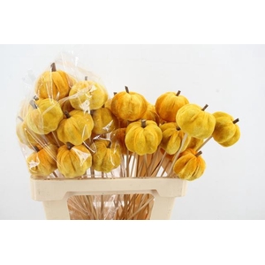 Stick Pumpkin 5/6cm Yellow
