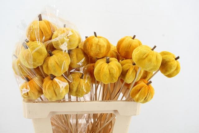 <h4>Stick Pumpkin 5/6cm Yellow</h4>